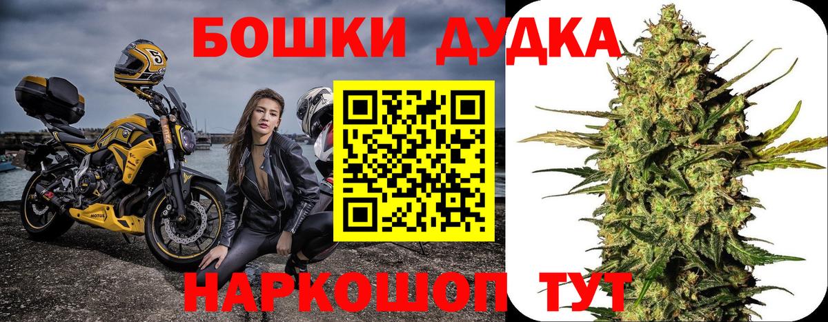 Каннабис марихуана Ессентуки